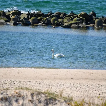 Solaris Golden Blue *